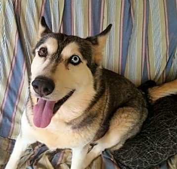 Photo of Nakita