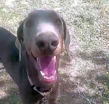 Photo of Sheena
