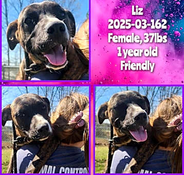 Photo of 2025-03-162 *Liz*