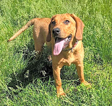 Photo of Porter
