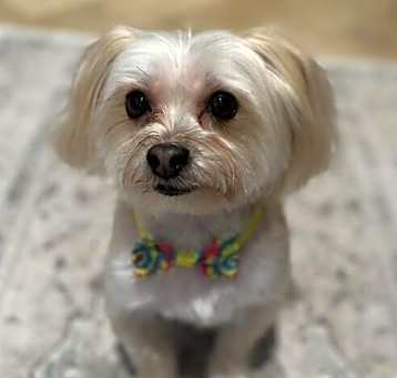 Photo of Chancey