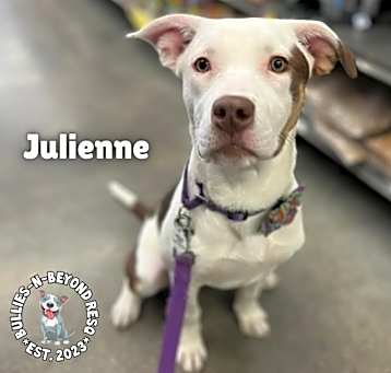 Photo of The Potato Litter:  Julienne