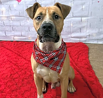Photo of Stanley
