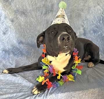 Photo of Ethel