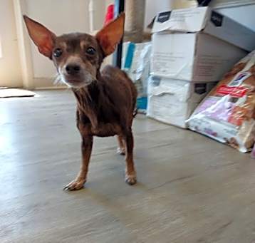 Photo of Dorothy