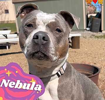 Photo of NEBULA