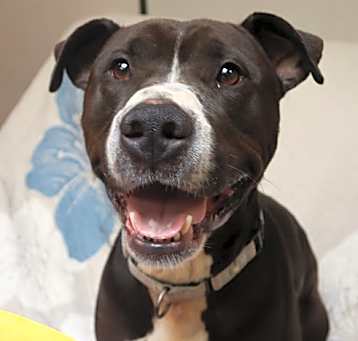 Photo of ASTRO