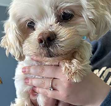 Photo of Lula Belle