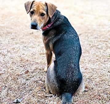 Photo of Daisy