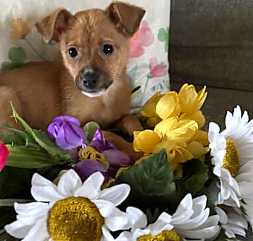 Photo of Sprout