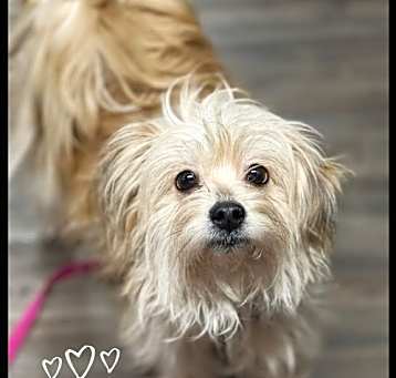 Photo of Zena