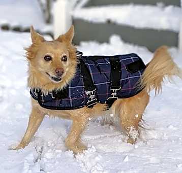 Photo of Charlie