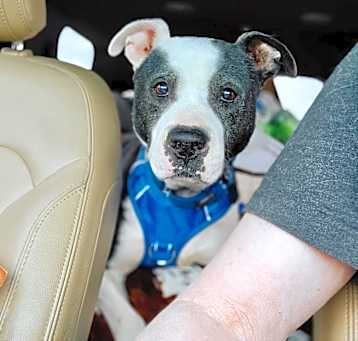 Photo of Gerald (Sponsored)