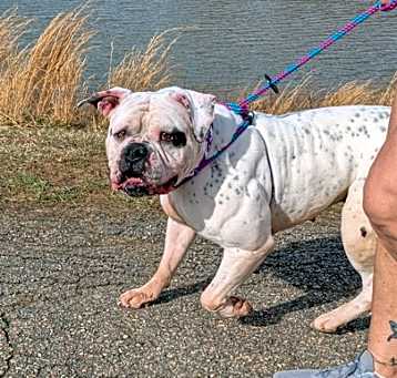 Photo of Ruthie