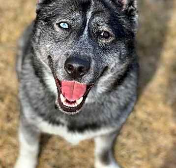 Photo of Aspen