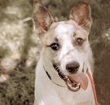 Photo of Newbie