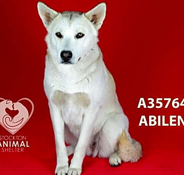 Photo of ABILENE