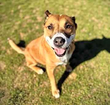 Photo of Candy