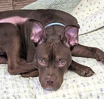 Photo of Rudy
