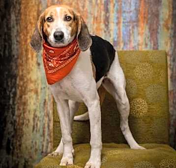 Photo of Ida Mae