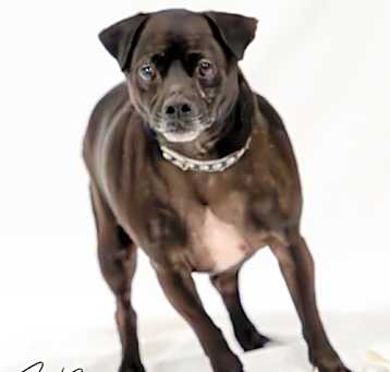 Photo of Chubbington