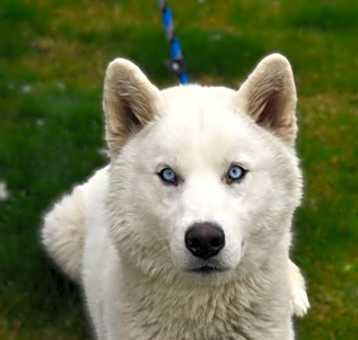 Photo of Twix