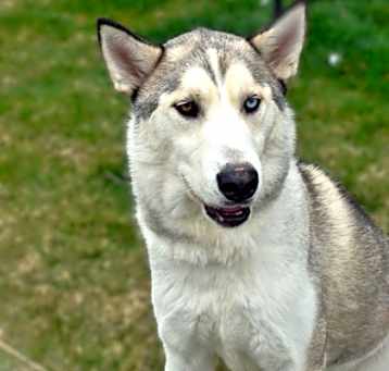 Photo of Flash