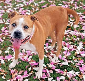 Photo of Princess