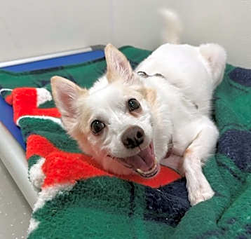 Photo of Lucky 2