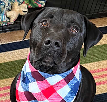 Photo of Bucky
