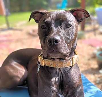Photo of Zuzu
