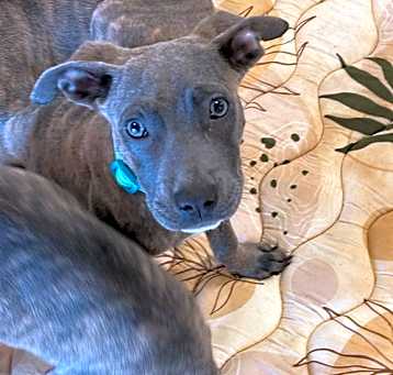 Photo of Aiden