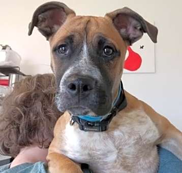 Photo of Junior