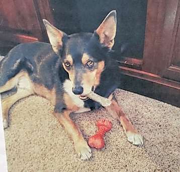 Photo of Sage