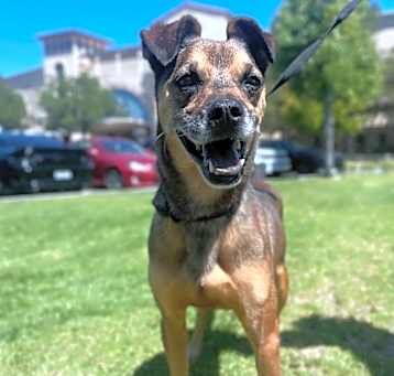 Photo of Echo