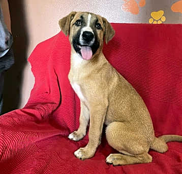 Photo of Mitsy