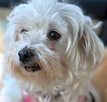 Photo of Jayla