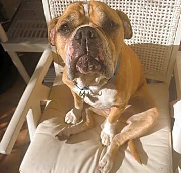 Photo of Sammy