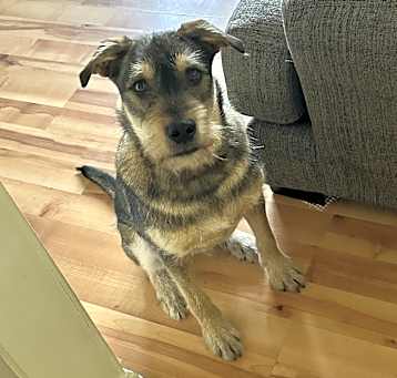 Photo of Ace