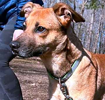 Photo of Finley