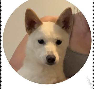 Photo of Polar