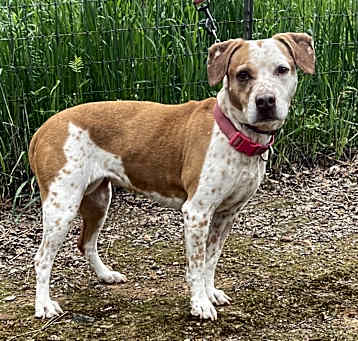 Photo of Bella