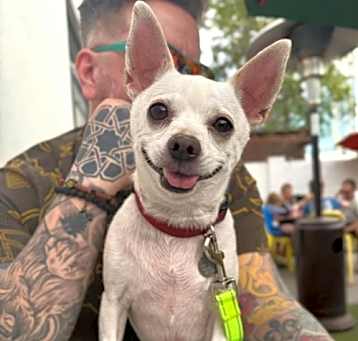 Photo of Sundance