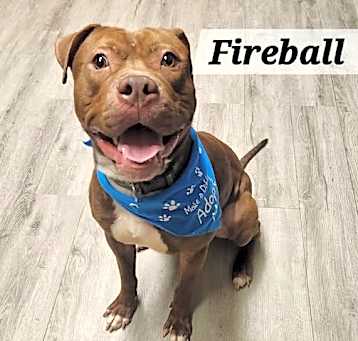 Photo of Fireball