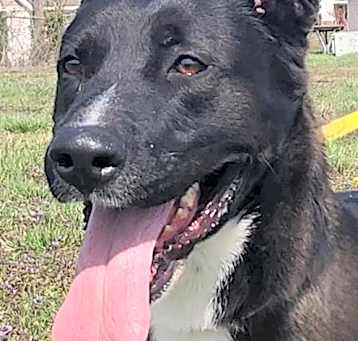Photo of THADEUS