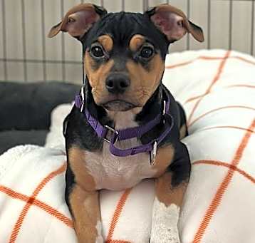 Photo of Lexie