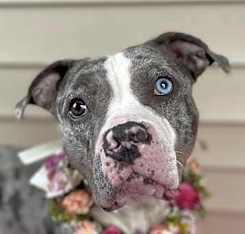 Photo of Libby