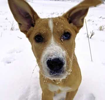 Photo of Aero