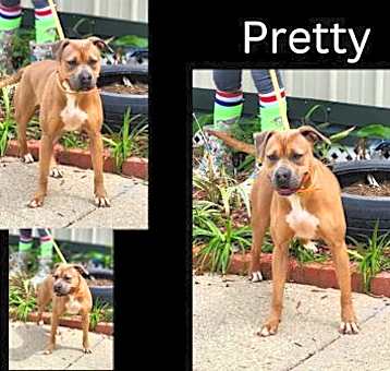 Photo of Pretty