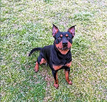 Photo of TITUS